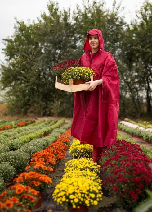 Syksyinen karsiminen kukkapuutarhassa - onko se sama kaikille kasveille?! 
